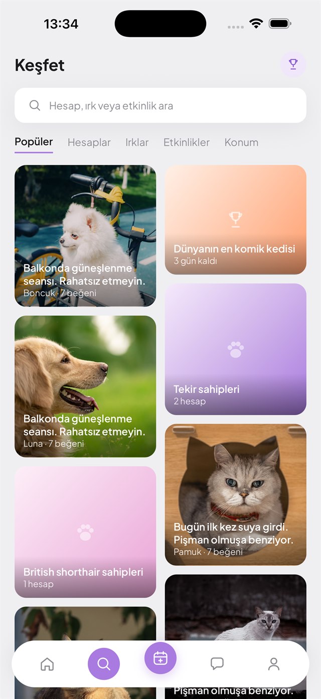 Keşfet ekranı: popüler gönderiler, ırk toplulukları ve yarışmalardan oluşan ızgara